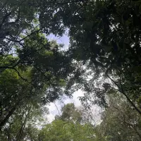知識沒用

除非你有用

學以致用

才是真正的有用配圖
