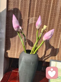 內心強大，性格就會變得溫柔，精神松弛，內心才會變得平靜，人最有魅力的時候，就是永遠有自己的節奏和步調，允許一切發生，你將無所畏懼！配圖
