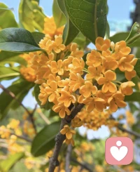 不用提前焦慮、也不要預支煩惱，
生活就是見招拆招，咱拿得起也放得下，
不消耗自己，也不委曲求全。
請你相信，
所有的山窮水盡，都藏著峰回路轉。