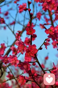 #李健#人间共鸣
所谓共鸣，就是这一生，或者这一瞬间，我懂，你也懂。灵魂的契合，是这个时代最珍贵的礼物。
共鸣，让我们不孤单。