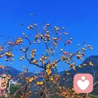 无论环境多么艰难，只要有光，就有生长的希望。配图
