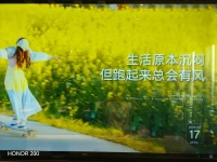 聰明的智慧不需要有多少知識，
多少學問，
存在本身就是心安和愉快，
陽光的能量就有治愈感。配圖