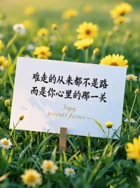 人生的路，別人教是教不會的，只有自己走。配圖
