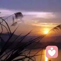從小到大，從低到高，從無到有，我就在這里。在生長著，在奮斗著，向更高的目標前進。成為我自己，經歷這一段，就完成了一個跨越。配圖