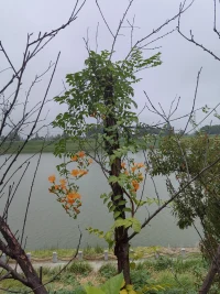 有很多來訪說“我抑郁，所有我做不到”
《被討厭的勇氣》推薦閱讀
你會發現“我抑郁、我有病”可能只是
我不想做的一個理由??配圖
