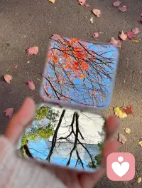 如果说人生有什么最重要的东西
那大概就是肆意生活的勇气吧
不论顺流还是逆风
按照自己的节奏
随着自己的心意
用心生活
用力向上