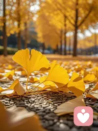 当你深陷“泥潭”时，伸出你的手👋，别人才能拉一把💞