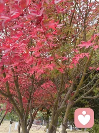 什么才是我们生活中最大的底气🍻