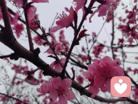 下等的自愈，是买醉；
中等的自愈，是旅行；
顶级的自愈，是在琐碎的日子里，
学会与自己握手言和 🤝配图