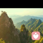 搭的头像