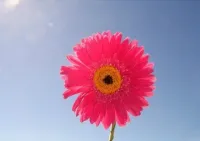 能干的人，不在情緒上計(jì)較，只在做事上認(rèn)真；無(wú)能的人，不在做事上認(rèn)真，只在情緒上計(jì)較。 ?早安配圖