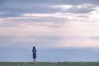 一个人活在这个世界上为了什么呢？我告诉你，是去经历和享受。没做过的事情要做一做。无，则努力追求，有，则尽情享乐。合，则来，不合，则散，这是简单却正确的道理。
