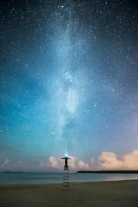 做人凡事要静，静静地来，静静地去，静静努力，静静收获，切忌喧哗。