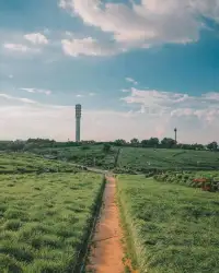 努力的意义，不在于一定会让你取得多大的成就，只是让你在平凡的日子里，活得比原来的那个自己更好一点。早安。