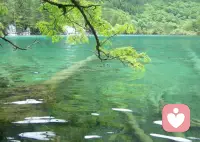 挫折会来，也会过去，跌倒了再爬起，失败了再努力，永远相信不管自己再平凡，都会拥有属于自己的幸福。 ​配图