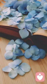 无论从事什么行业，只要做好两件事就够了：一个是你的专业、一个是你的人品。专业决定了你的存在，人品决定了你的机会，剩下的就是坚持。早安。配图