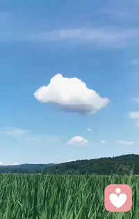 不纠结于现在，不忧虑于未来。人生中不存在任何必须的事情，只存在不必要的期待。没有任何期待和面子的人生是美好和自由的，因为这样，人才能听到自己的心。早安。配图