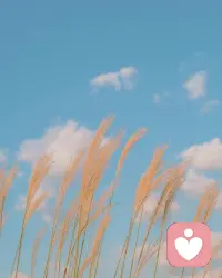 不辜負每一場花開，善待每一次花落，收藏每一寸清風朗月，用一顆素然的心，愛著每個清晨的今天，憧憬著每一個想要的明天！早安。配圖