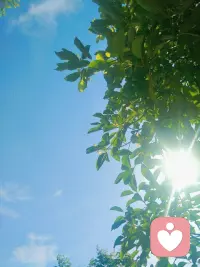 前進不必遺憾，若美好叫做精彩，若糟糕叫做經歷，好好去愛去生活，每天的太陽都是新的，別辜負了美好時光，早安！配圖