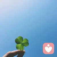 人生苦短，所以每天不要帶著遺憾醒來。早安。配圖