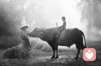 一聲阿彌陀佛，是一種生命的樸素，生命的真實，生命的祝福，生命的堅持，生命的接力，生命的鼓勵，生命的坦然，生命的友好，生命的精彩，生命的溫暖。萬語千言，總歸一句，阿彌陀佛。 ???配圖