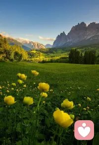 生命中任何走進你生活的人，只要他曾經讓你變得更優秀，就是值得的。人生本來就孤獨，任何陪過自己走完一段寂寞時光的人，都應該用心感激。早安。配圖