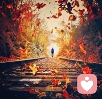 很多人一生只做了“等待”與“后悔”兩件事，合起來叫“來不及”。配圖