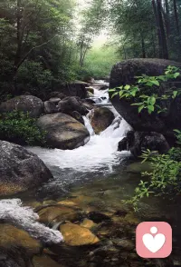 坚强，就是擦干眼泪后微笑着面对以后的生活，抬起脚，勇敢的继续前行。早安。