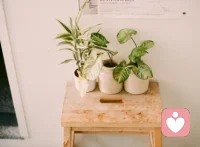 有時候，愛得轟轟烈烈，暮然回首，一切都意興闌珊。有時候，恨得痛徹骨髓，暮然回首，一切都冰消云化。 ?配圖