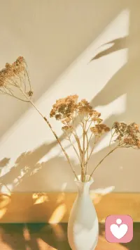 在成功的路上，沒有任何捷徑和技巧，而唯一的秘訣就是——永不放棄，筆直向前！早安。配圖