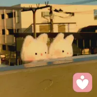 人有的時候真是奇怪，選擇了的會后悔，放棄了的會遺憾，但是完美只能是一種理想，而不可能是一種存在。配圖