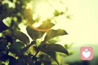 生活，就該有些陽光，有點自由，還有一些花朵。配圖