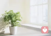 世界上最棒的事是 每天早上醒來又是嶄新的一天 完全免費 永不斷貨 早安配圖