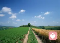 只要心里有著陽光，到哪都是明媚，若心里揣著嚴(yán)寒，何處都不見得溫暖。早安。配圖