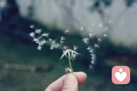 有些人放心里想想就好了，即使有機會也別去讓死灰復燃，小心玩火自焚。配圖