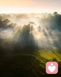 每一次努力，都是幸运的伏笔，每天都是好时光，不容浪费。早安。配图