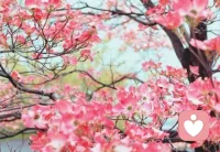 世上不爱的理由有很多：忙、累、没感觉、不合适、为你好....，而爱的表现只有一个：就想和你在一起~~ ​配图