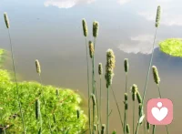 有一种思念叫等待。蓬勃在我的指间，荡漾在你的心海。月下徘徊，屏前守望，深夜无眠。 ​配图