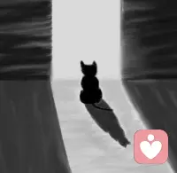 路是自己选的，所以即使以后会跌倒，会受伤，也都要学会自己承受，自己疗伤。 ​配图