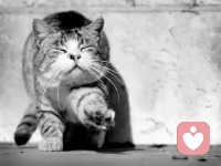 失望的感觉估计就是，你气得想骂娘，但是想想还是算了吧。连提都不愿意提。 ​配图