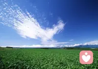 一根弦若是繃得太緊，總有一天會(huì)斷裂，一顆心若是禁錮得太久，總有一天會(huì)失去平衡，我們需要放飛心靈，讓心翱翔在自由的天空。早安。配圖