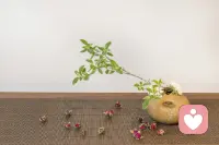 漸漸的，不再追求圓滿。就好像月亮圓著圓著就虧了，酒杯滿著滿著就溢了。凡事七八成圓滿、二三分缺憾，外人不生嫉恨，自身永保斗志。人生啊，若有所缺，才是境界。配圖