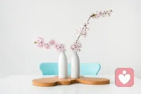 不要在晚上做出任何決定，晚上的意志力太過薄弱，陰與陽只一線之隔，天亮仍覺是對的，即使錯，也甘心