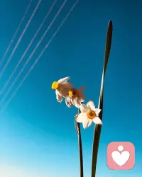 為人者，有大度成大器矣。早安。