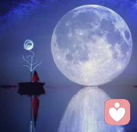 刻意去找的東西，往往是找不到的。 天下萬物的來和去，都有他的時間。配圖