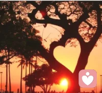 多站在別人的立場考慮問題，如果一件事情對你來說是一種痛苦，對別人來說也是。 ?配圖