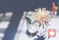 生命中許多東西是可遇不可求，刻意強求得不到，而不曾被期待的往往會不期而至。 ?配圖