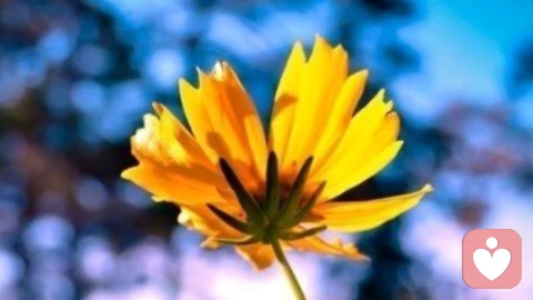 人生幸福的意义。