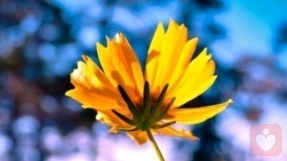 人生幸福的意义。