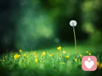 任何成就都是从决定尝试开始的，所以，小伙伴们要勇于尝试！早安。